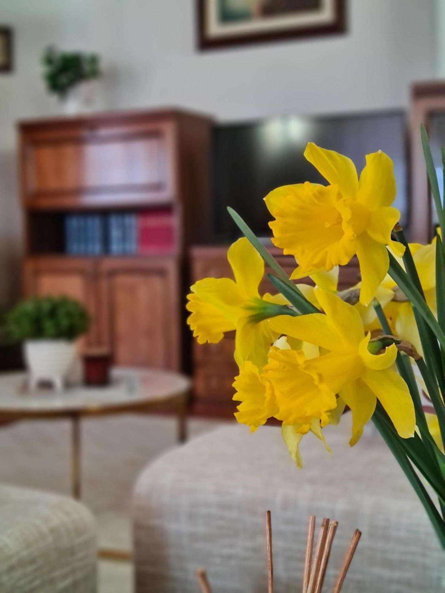 Apartment Penthouse Ivana