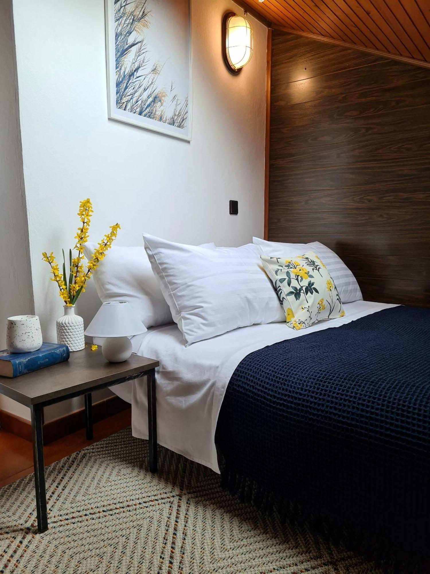 Penthouse Ivana * Rovinj
